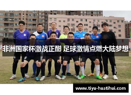 非洲国家杯激战正酣 足球激情点燃大陆梦想