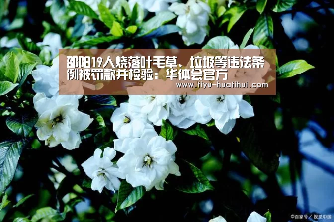 邵阳19人烧落叶毛草、垃圾等违法条例被罚款并检验:华体会官方(图2) 华体会下载